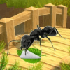 Ant Survival Simulator - Kids Free Game 2018