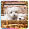 Tile Puzzles-Animals,Birds怎么下载到手机