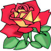 Color by Number – New Flowers Pixel Art