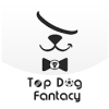 Top Dog Fantasy, where you can learn game tips.