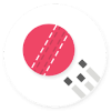 Block Cricket - 2019最新安卓下载