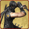 Ninja Hero Warrior : Ninja Vs Western Fighters