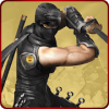 Ninja Hero Warrior : Ninja Vs Western Fighters破解版下载