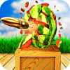 Watermelon Shooting Target Shooting King 2k18绿色版下载