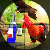 Chicken Shooting Game of Bird Hunting Bottle Shoot