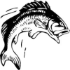 Real Fisher版本更新