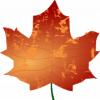 Thanksgiving Questions 2018官方版免费下载