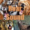 Animals Roar Sound Demo版本更新