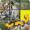 Animals Slide Puzzles怎么下载到电脑