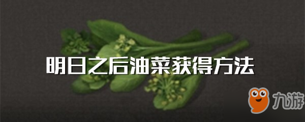 明日之后油菜獲得方法介紹