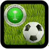 Saudi Arabia league game