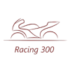 Racing 300官方版免费下载