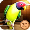 Birdy Pet - Parrot Life Simulator最新版下载