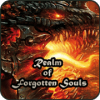 Realm of Forgotten Souls游戏中文汉化