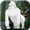 White Gorilla Escape