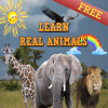 Learn Real Animals如何保存进度