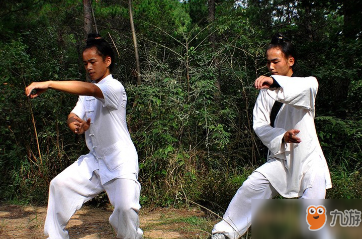 《太吾繪卷》功法設(shè)計過程，武當派· 紫陽正氣拳（絕·二階）