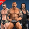WWE Evolution Championship Fight 2019中文版下载