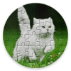 Jigsaw Image Puzzle