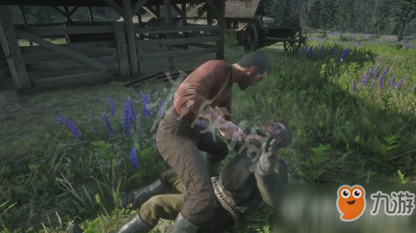 荒野大镖客2老毛病图文流程通关攻略_4 荒野大镖客2老毛病图文流程通关攻略