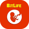 BitLife Simulator Game