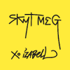 Skyt meg如何升级版本