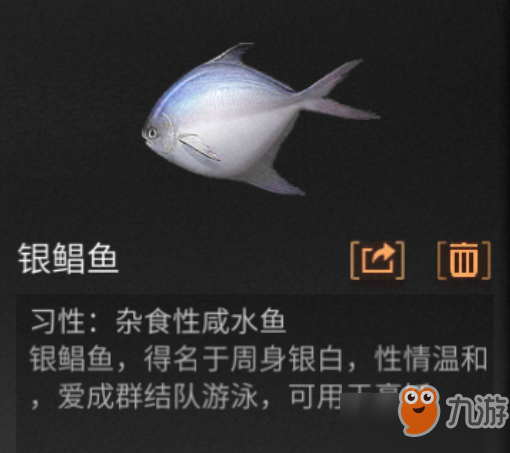 明日之后咸水魚(yú)百科_咸水魚(yú)料理介紹[圖]