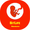 BitLife Life Game如何升级版本