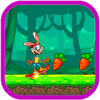 Rabbit Skater Adventure