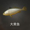 明日之后大黄鱼在哪钓 大黄鱼<a linkid=139734><a linkid=139734>钓鱼</a></a>位置介绍