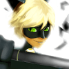 Adventures Cat Noir Runner World