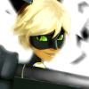 Adventures Cat Noir Runner World无法打开