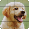 Puzzle - Dogs and Puppies