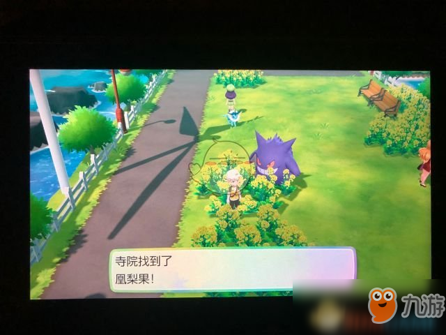 《精靈寶可夢(mèng)LetsGo皮卡丘伊布》17號(hào)道路全漿果位置指南