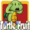 Turtle Fruit