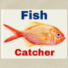 Fish Catcher Man占内存小吗