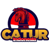 Catur Chess Indonesia Offline如何升级版本