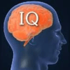 IQ Test 2019版本更新