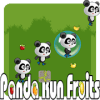 Fruits Panda Runner