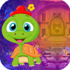 Best Escape Game 513 Baby Tortoise Rescue Game玩不了怎么办