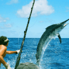 hapty fishing simulator 2018占内存小吗