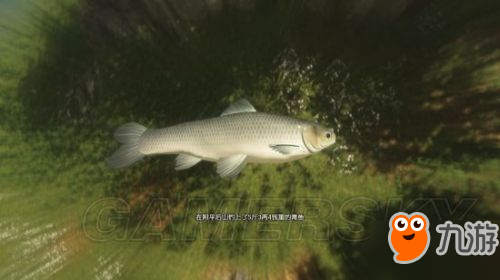 古劍奇譚3釣魚(yú)怎么玩攻略 古劍奇譚3全魚(yú)種垂釣位置/釣魚(yú)餌選擇攻略