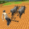 Village Plow Farming Expert:Bull Farmers Simulator占内存小吗