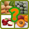 EduApp Guess What : FRUITS