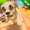 Pet Dog Run官方版免费下载