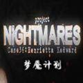 Project Nightmares如何升级版本