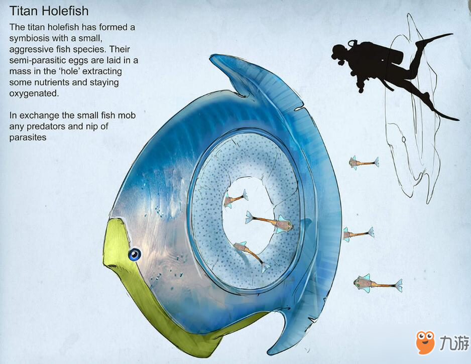 《深海迷航》零度之下生物圖鑒