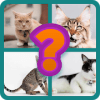 游戏下载Animals quiz :Guess the animal name