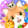 Kitten Bubble版本更新