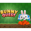 Bunny Quest玩不了怎么办